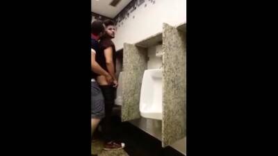 Breeding a slut in a Public Bathroom on freereelz.com