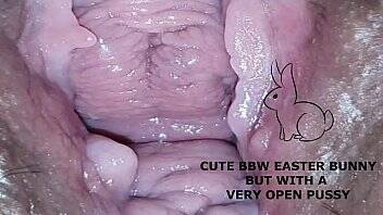 Cute bbw bunny, but with a very open pussy on freereelz.com