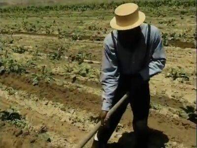 Ebony Hunks Working With Haystack In Amish Warehouse - Usa on freereelz.com