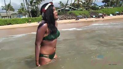 Yara Skye: Black Beauty's Intimate Encounter with a Sea Turtle on Beach on freereelz.com