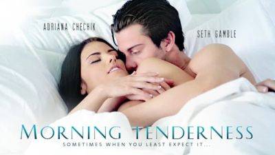 Beautiful Adriana Chechik Early Morning Romp wt BF on freereelz.com