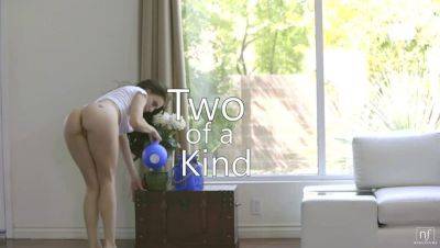 Two Of A Kind - S21:E8 on freereelz.com